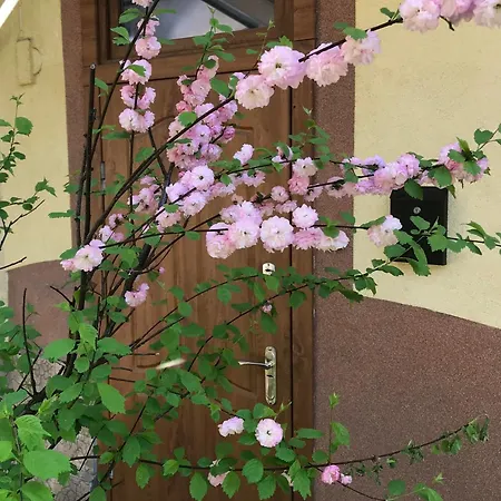 Lviv-centre Gorodotska 44 * Львів