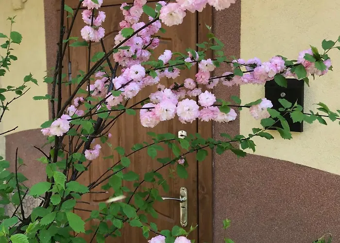 Lviv-centre Gorodotska 44 * Lviv